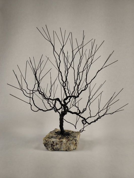 Longwood Gardens, Kennett Square, Pa. hosts Wire Tree Workshop Saturday October 18 @8AM