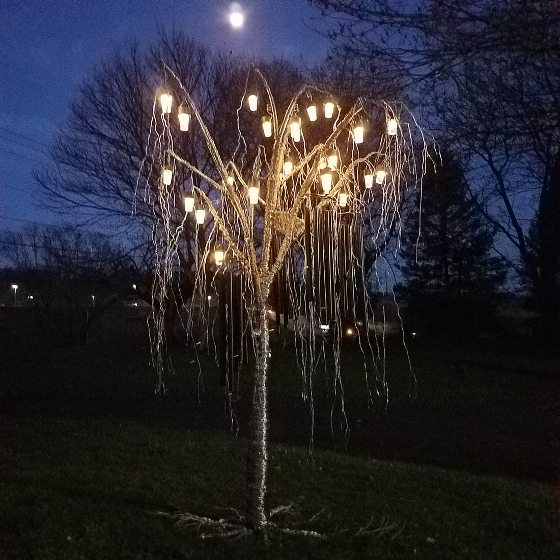 Tamaqua Art Center Wire Tree Workshop Saturday October 26th 10AM