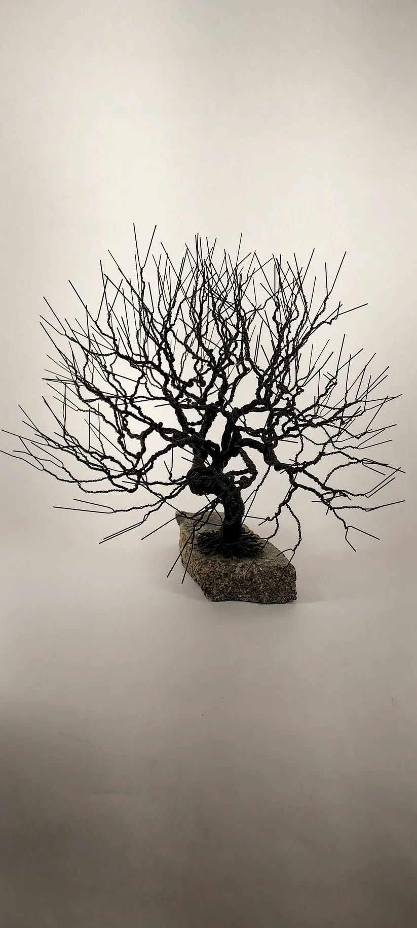 Wire Strands Are Shaped Into Sculptures of Bonsai Trees